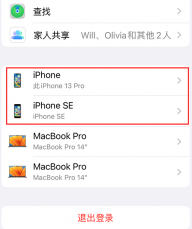 海港苹海港果维修网点分享iPhone如何查询序列号