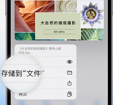 海港apple维修中心分享iPhone文件应用中存储和找到下载文件