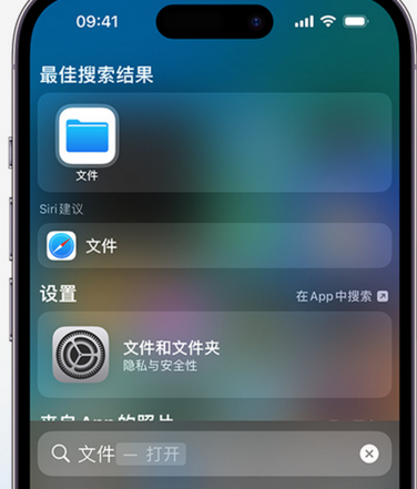 海港apple维修中心分享iPhone文件应用中存储和找到下载文件 