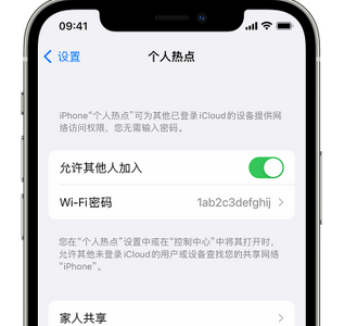 海港apple服务站点分享iPhone上个人热点丢失了怎么办 