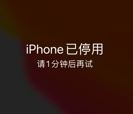 海港苹果手机维修分享:iPhone 显示“不可用”或“已停用”怎么办？还能保留数据吗？ 