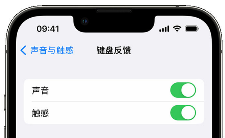 海港苹果手机维修分享iPhone 14触感键盘使用方法 