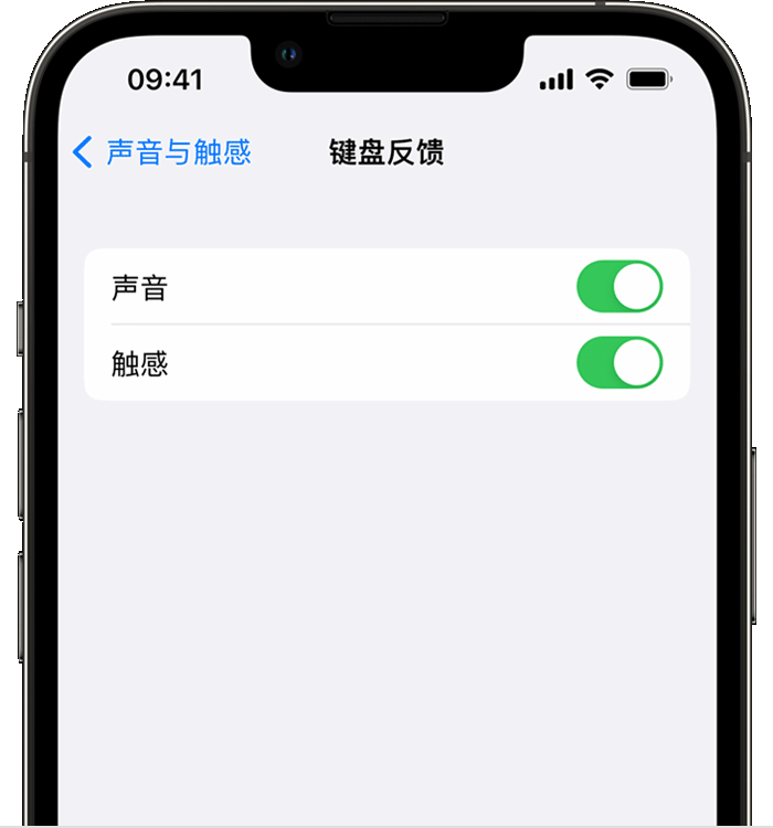 海港苹果14维修店分享如何在 iPhone 14 机型中使用触感键盘 