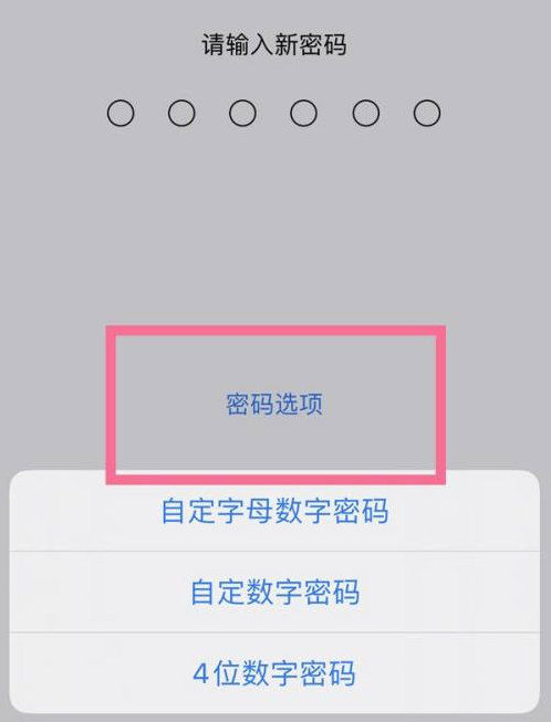 海港苹果14维修分享iPhone 14plus设置密码的方法 