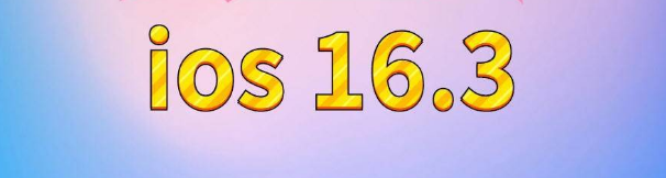 海港苹果服务网点分享苹果iOS16.3升级反馈汇总 