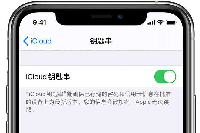 海港苹果手机维修分享在 iPhone 上开启 iCloud 钥匙串之后会储存哪些信息 