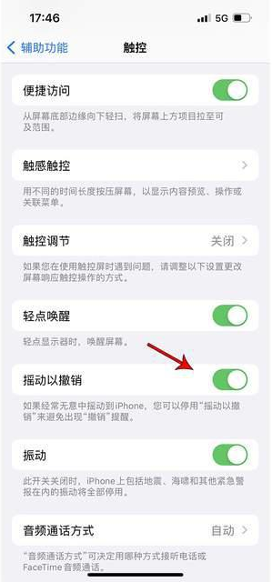 海港苹果手机维修分享iPhone手机如何设置摇一摇删除文字 